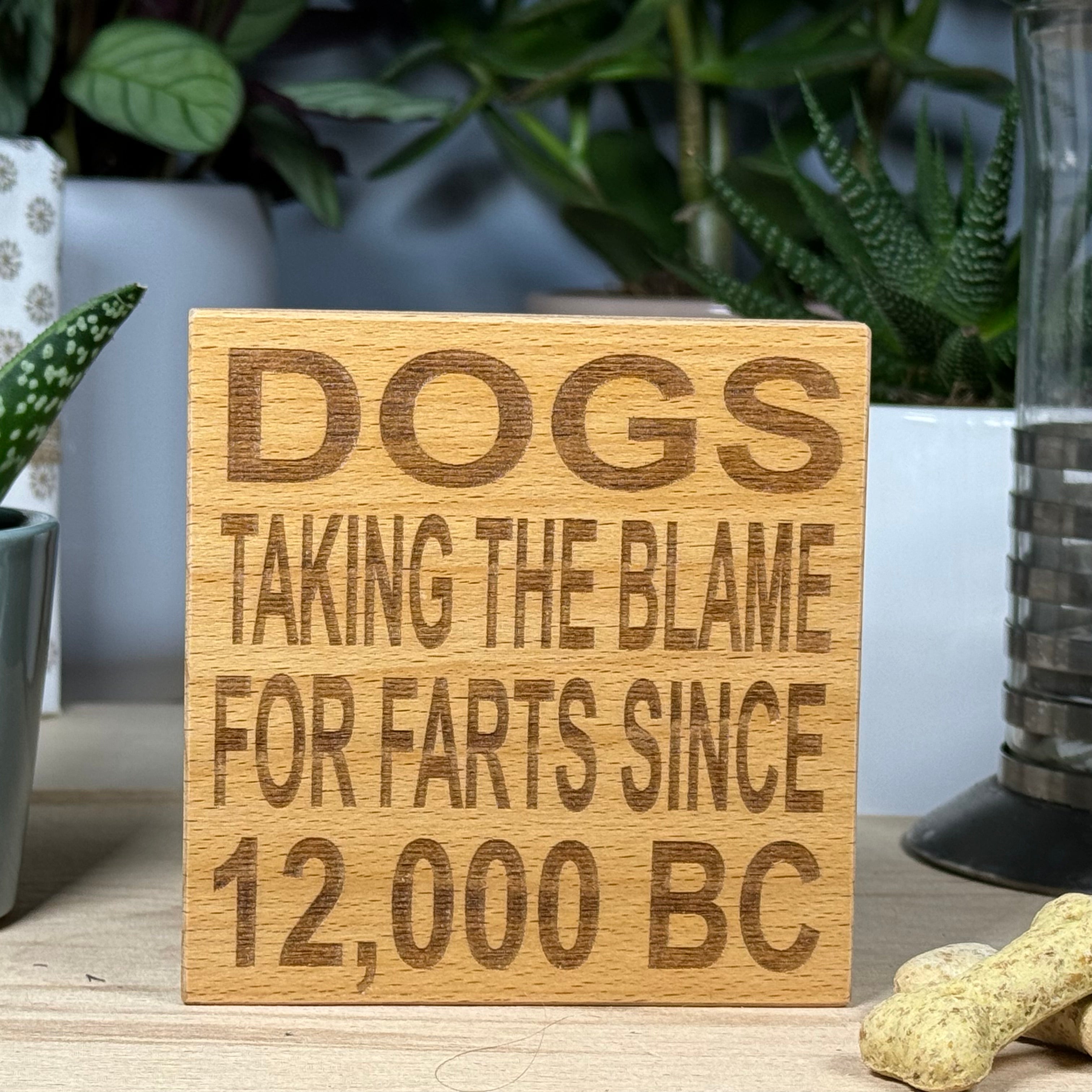 Wooden coaster - dogs taking the blame for farts since 12000 BC