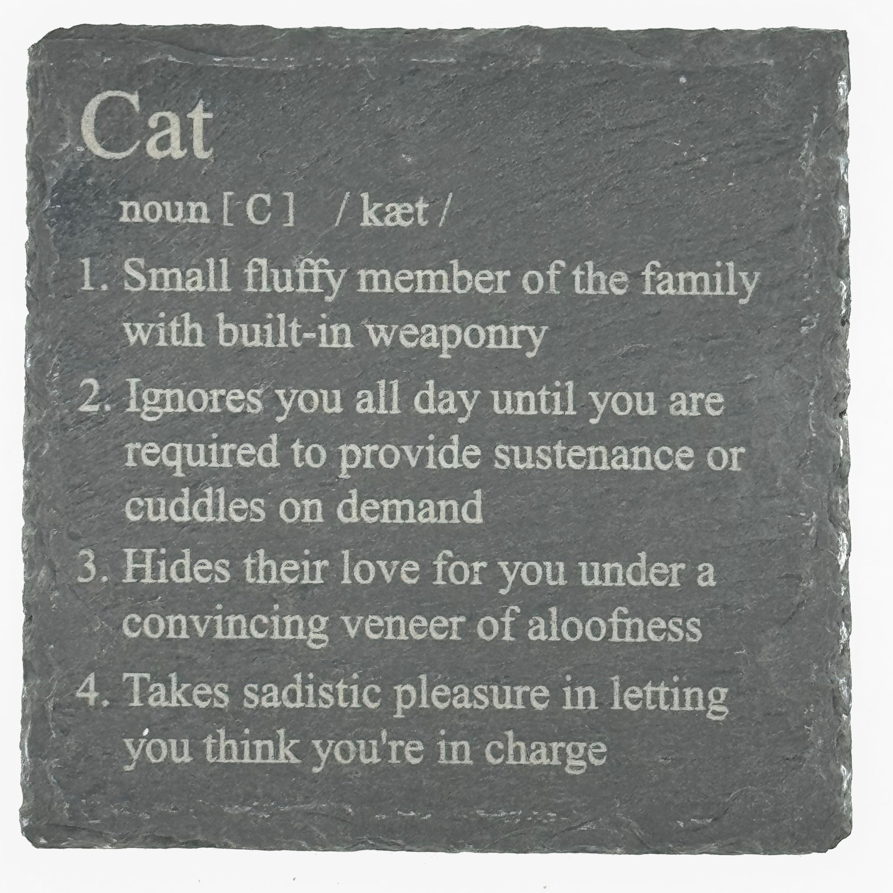 Slate coaster - cat definition