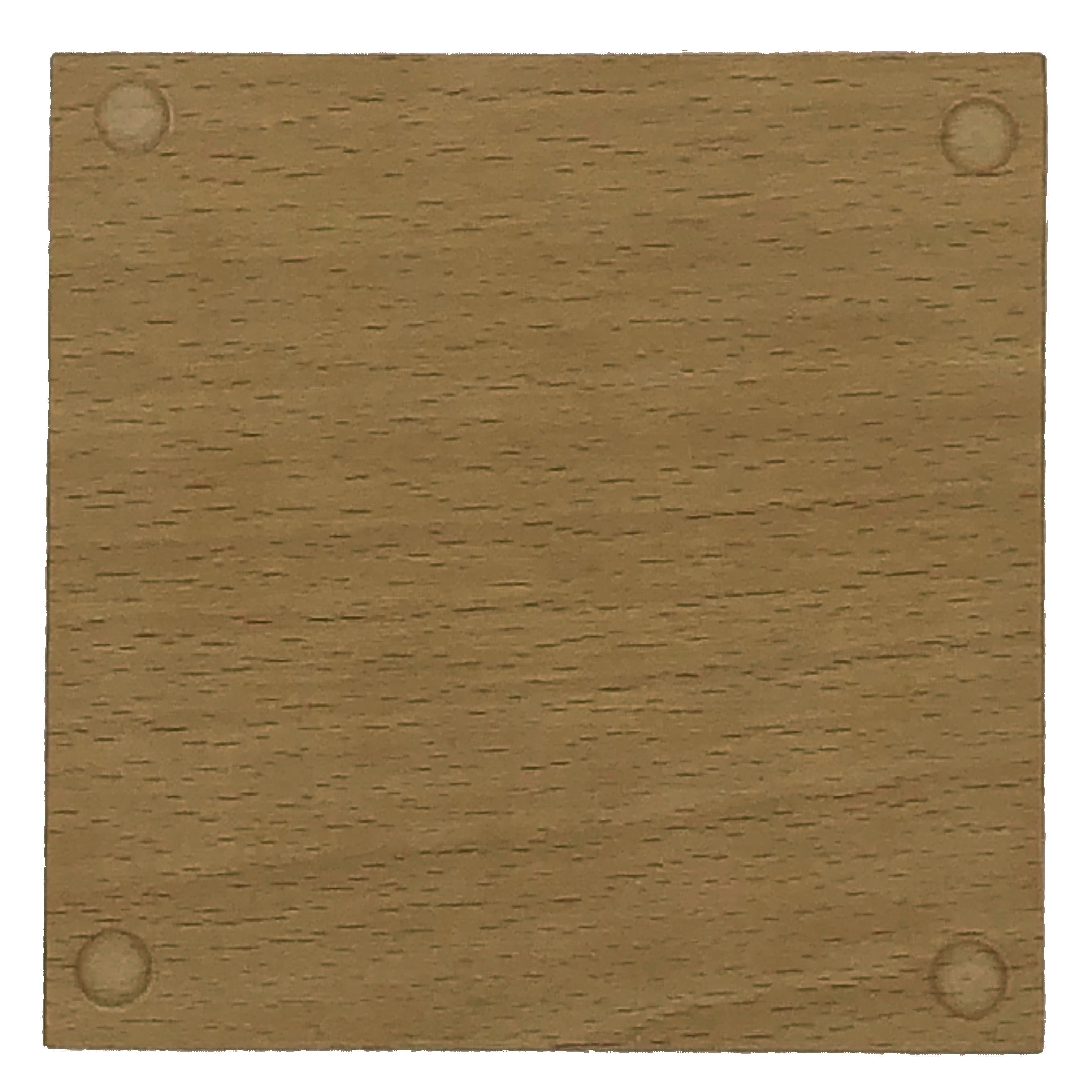 Wooden coaster - whatever it is the dog did it