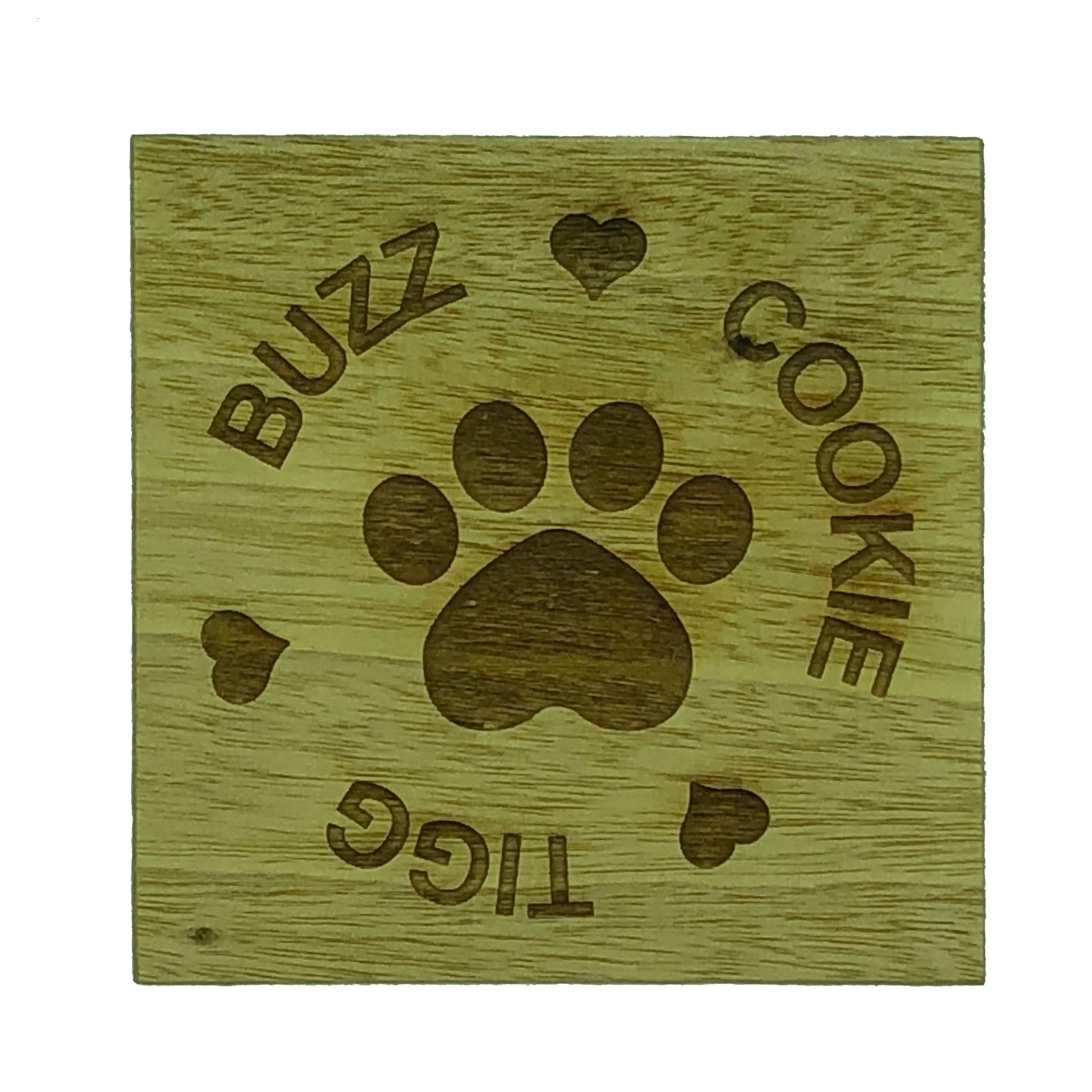 Personalised coaster - a pet lover with three cats
