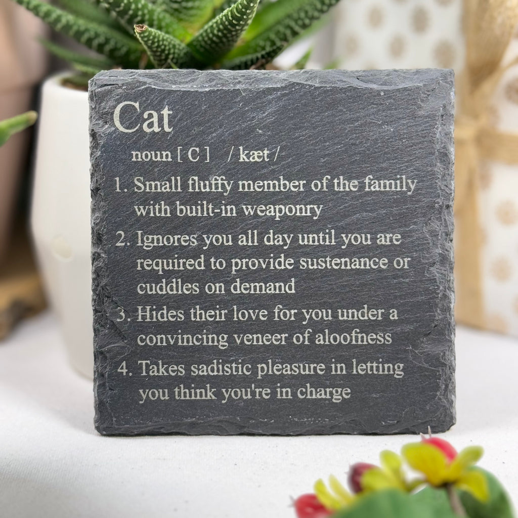 Slate coaster - cat definition